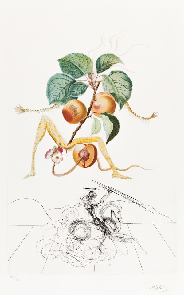 Abricot chevalier by Salvador Dali