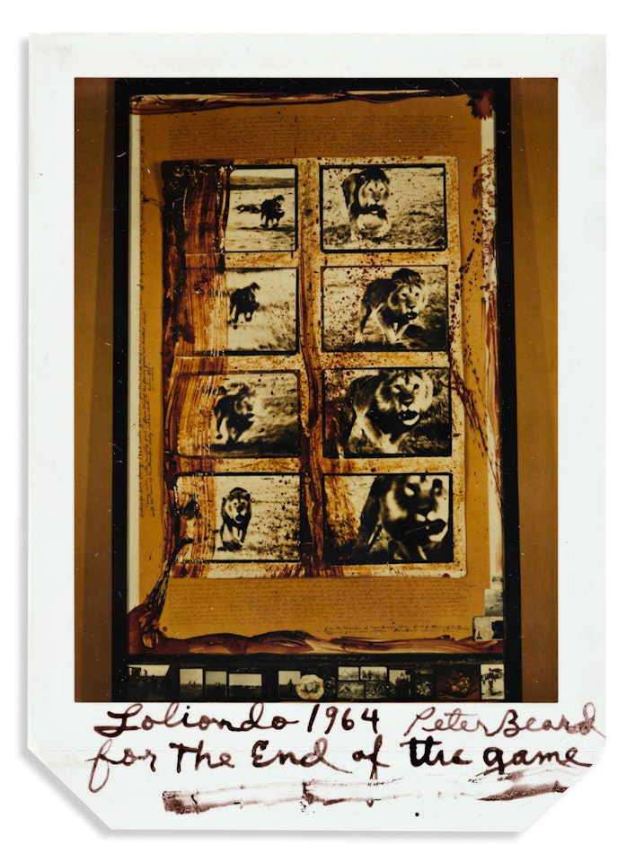 For The End of the Game by Peter Beard