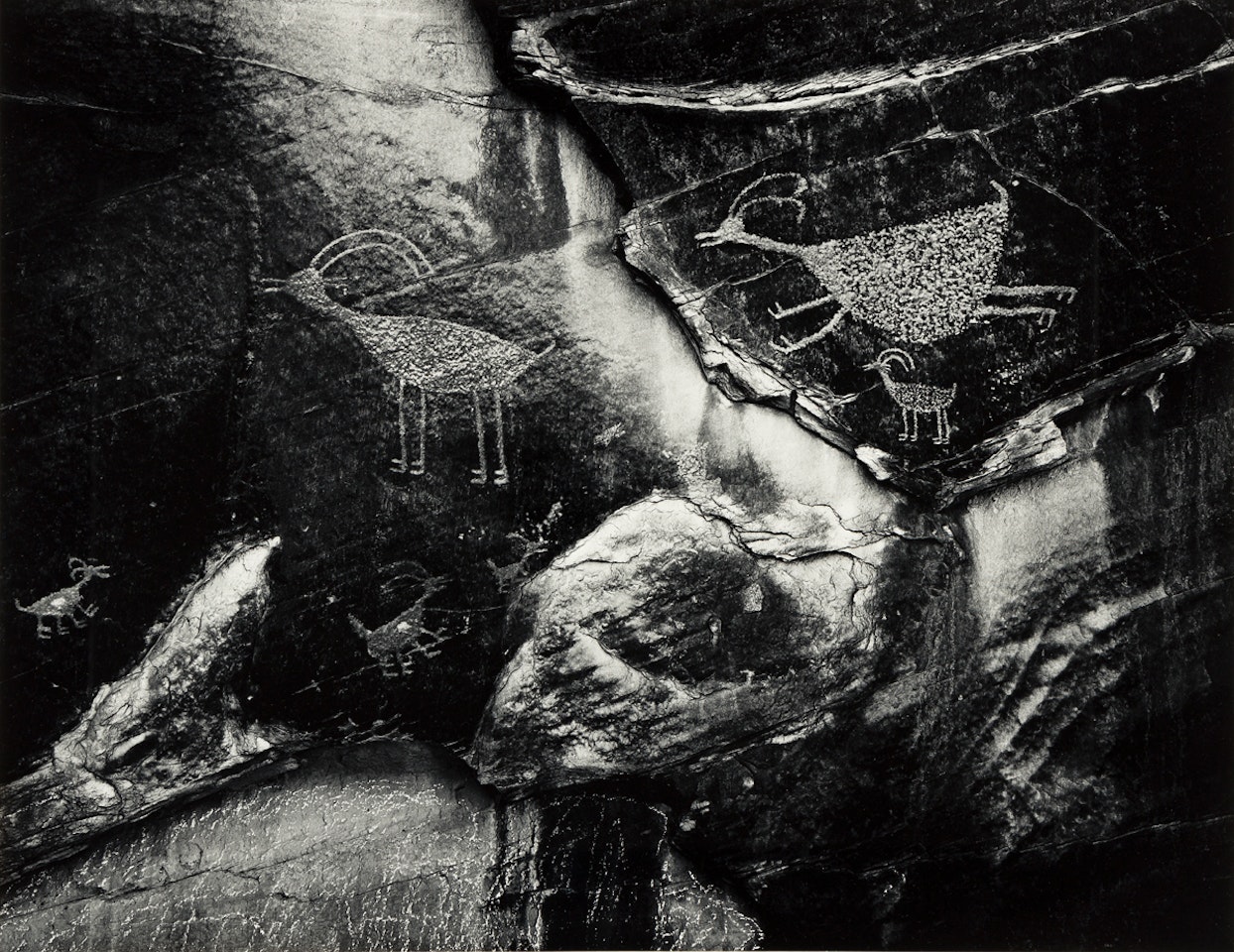 Portfolio V by Ansel Adams