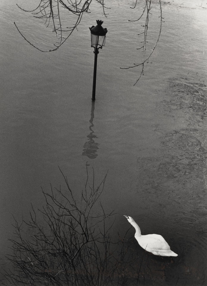 Paris  by André Kertész