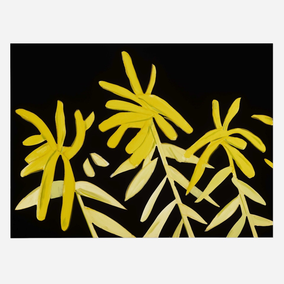 Goldenrod (from the Flowers portfolio) by Alex Katz