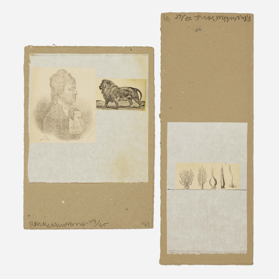 Two Shirtboards by Robert Rauschenberg