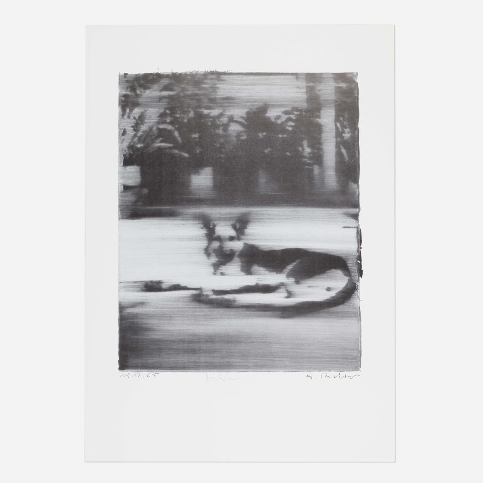 Hund by Gerhard Richter