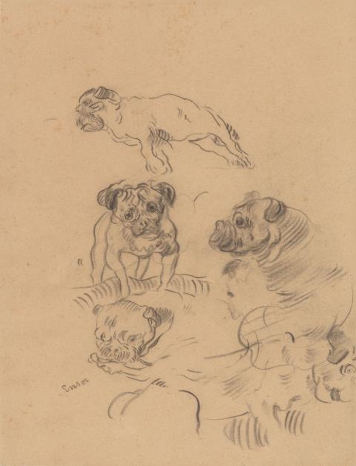 Etude de chiens by James Ensor