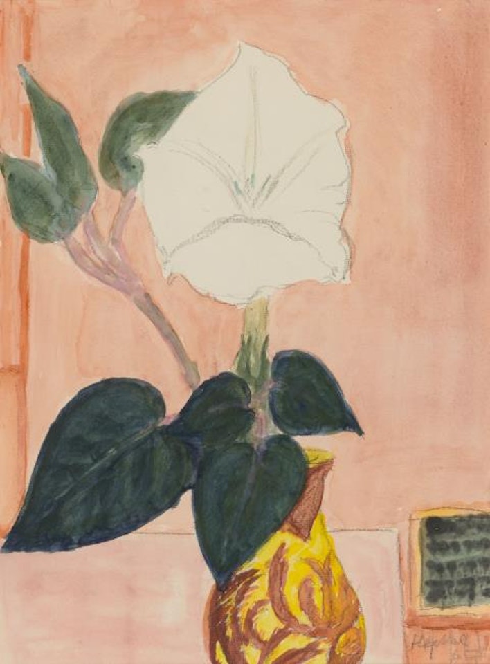  Dattura flower by Erich Heckel