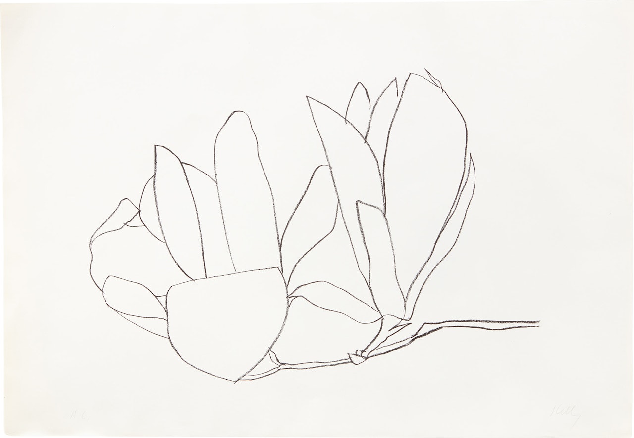 Magnolia (A. 56) by Ellsworth Kelly