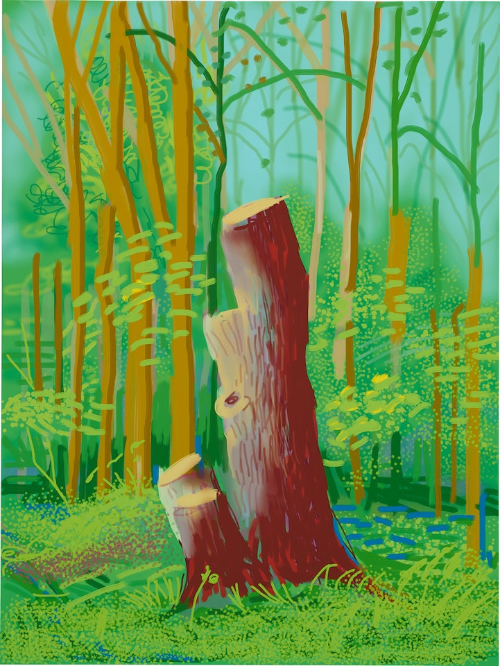 The Arrival of Spring in Woldgate, East Yorkshire in  (twenty-eleven) - 24 April by David Hockney