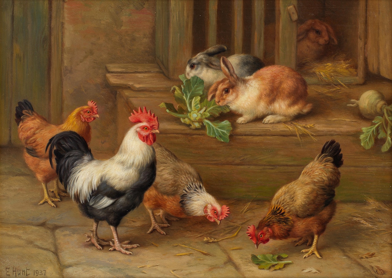 The remains of the cabbage, chickens and rabbits eating by Edgar Hunt