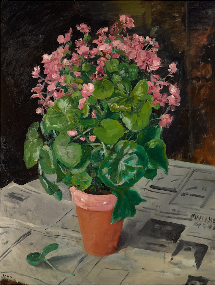 Begonia by Augustus Edwin John