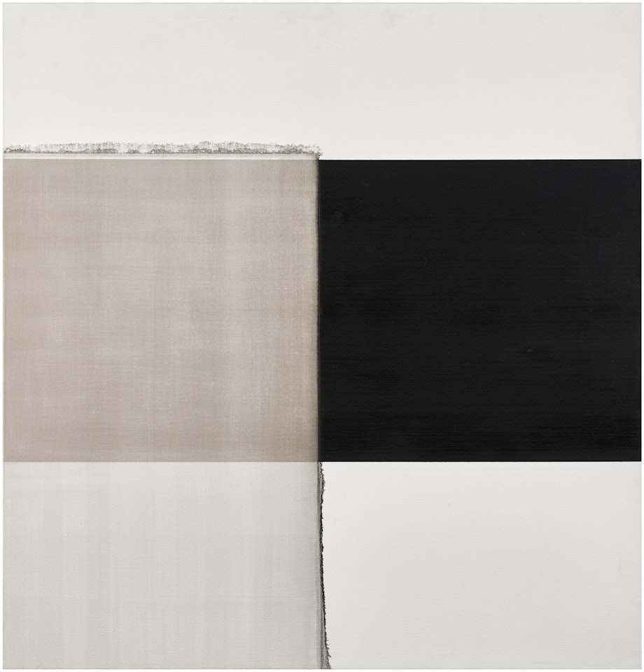 Exposed Painting Vine Black by Callum Innes