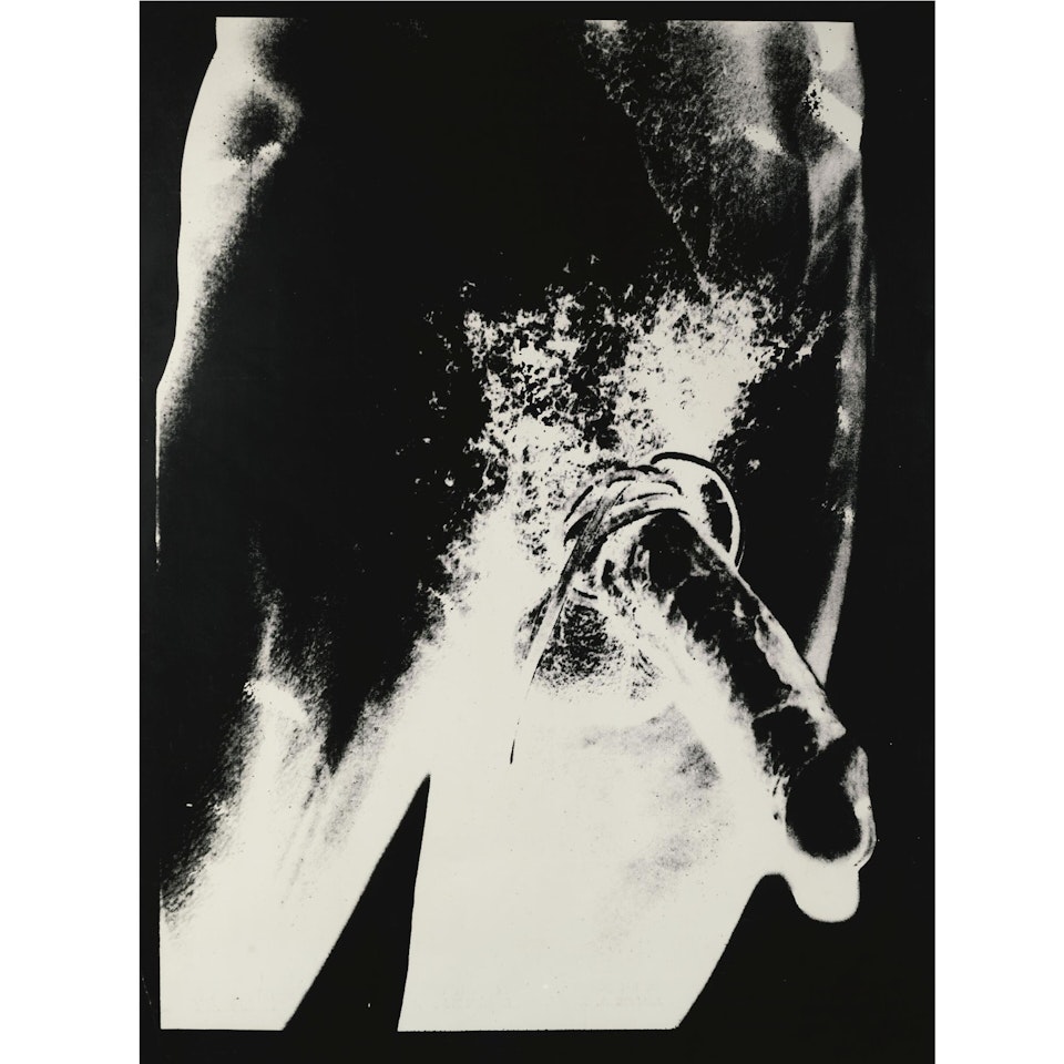 Torso by Andy Warhol