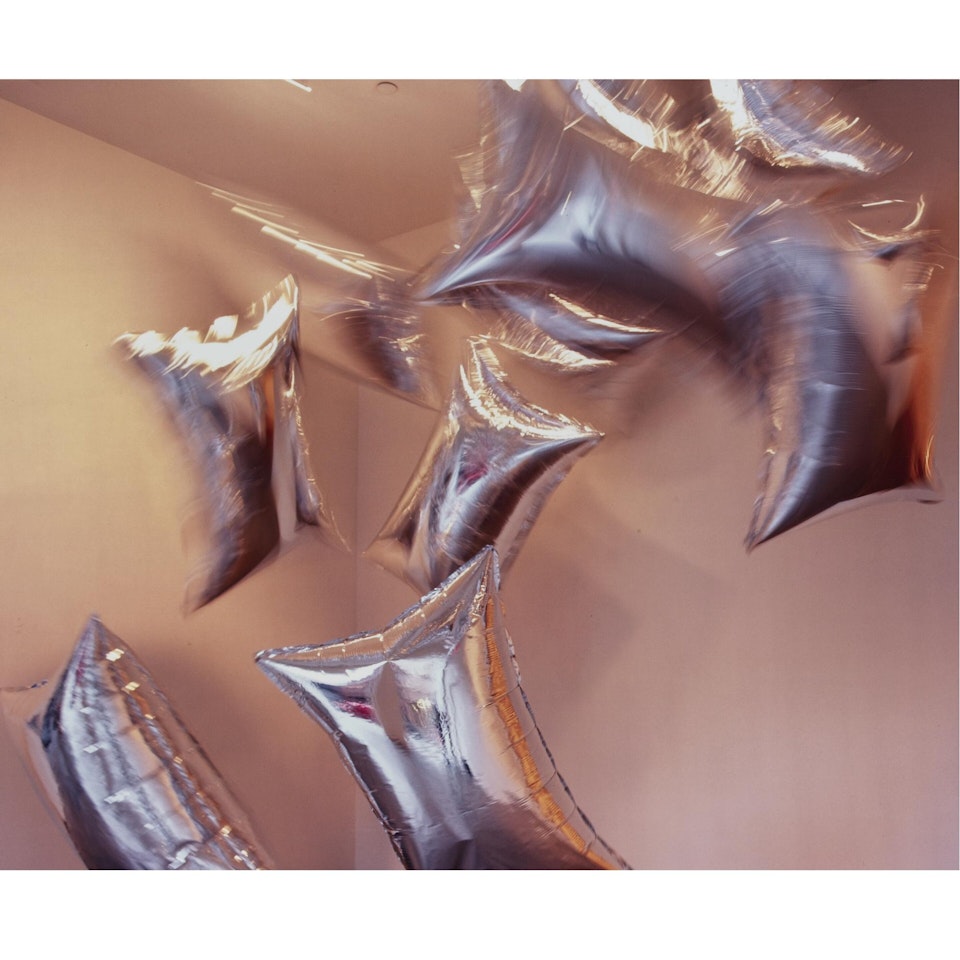 Pleasure by Louise Lawler