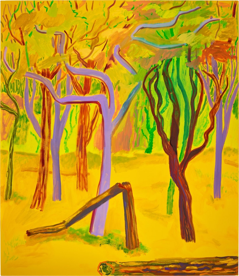 Subtle Signals by Shara Hughes