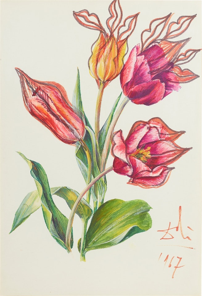 Les fleurs-lèvres by Salvador Dali