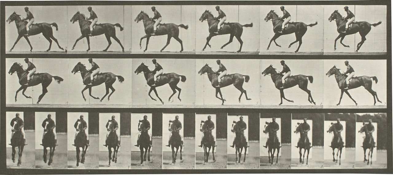 Selected Images from Animal Locomotion: An Electro-Photographic Investigation of Consecutive Phases of Animal Movements by Eadweard Muybridge
