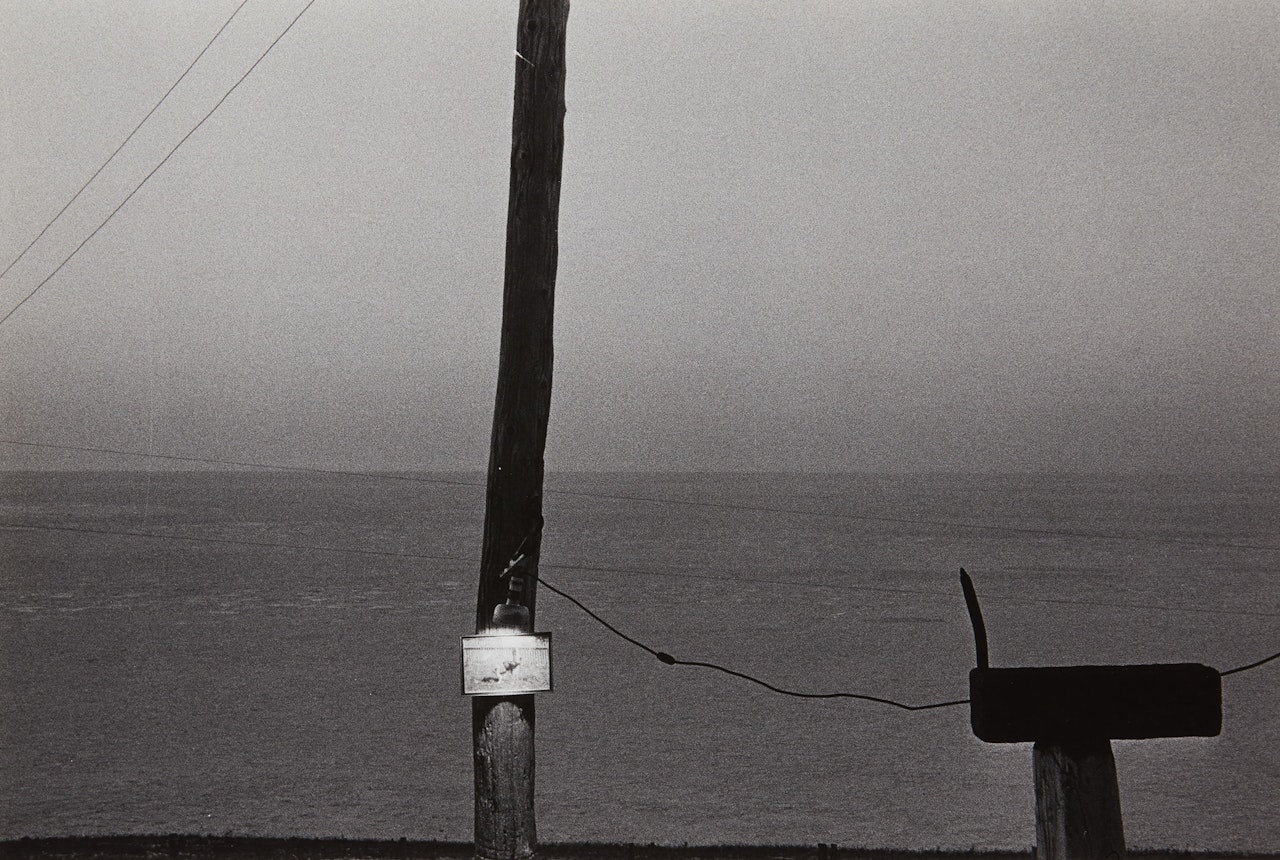 Mabou, Electric Dog by Robert Frank