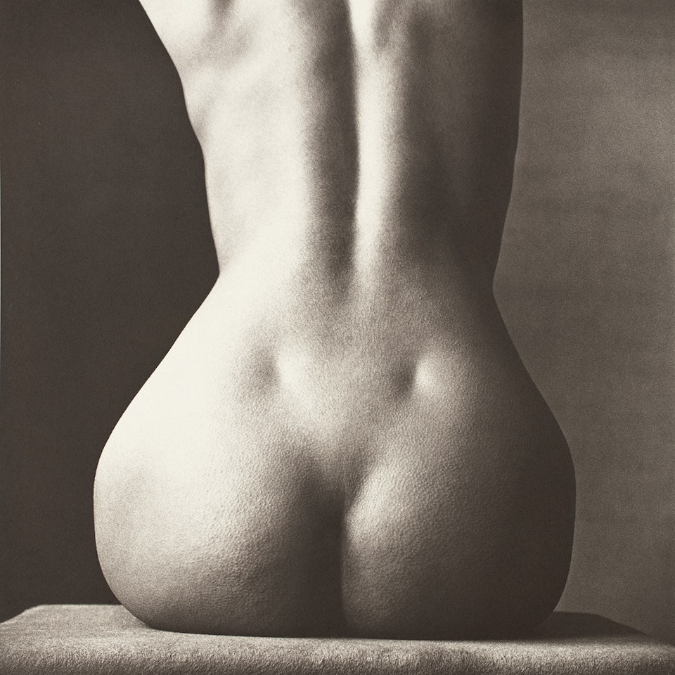 Sitting Nude Rear, New York by Irving Penn