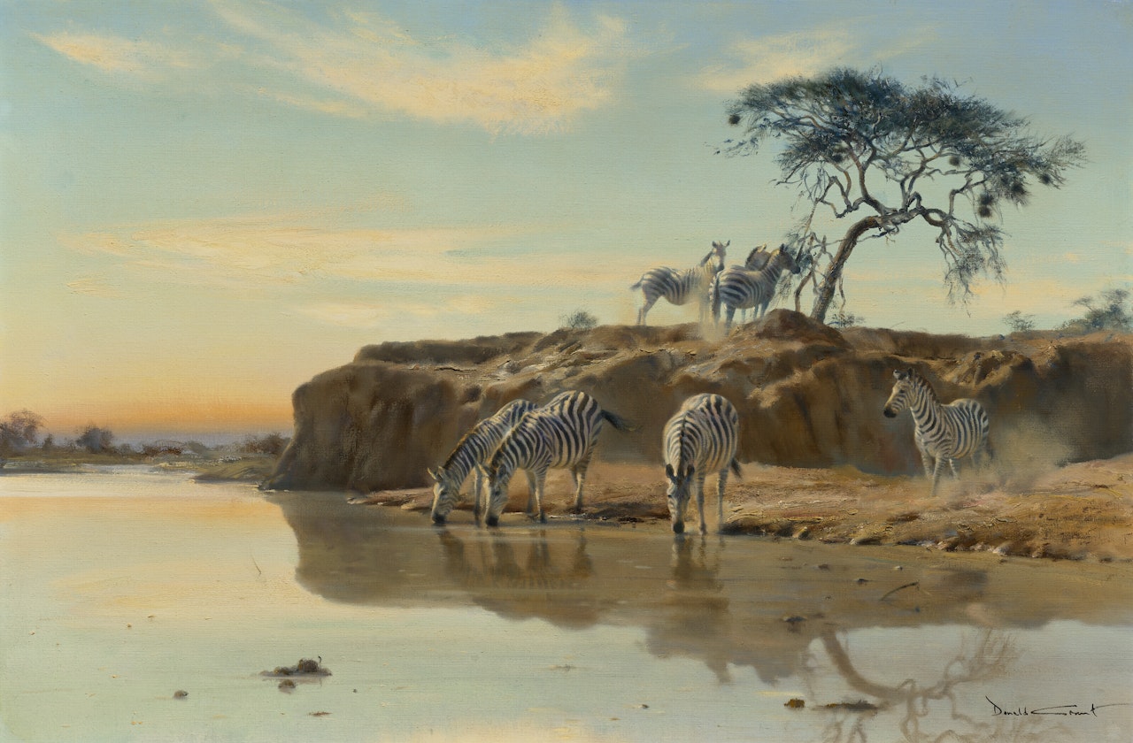 African Dream by Donald Grant