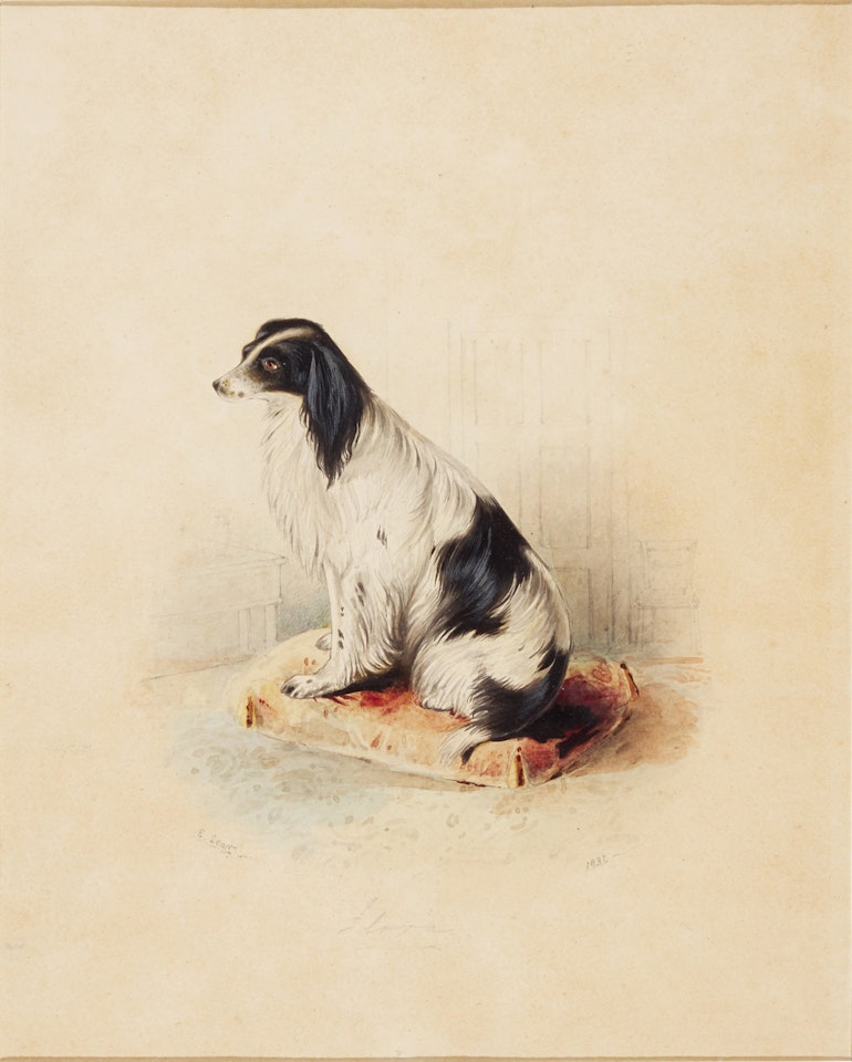 Flora by Edward Lear