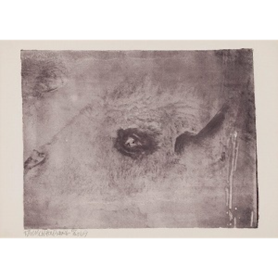 Unit (Buffalo) by Robert Rauschenberg
