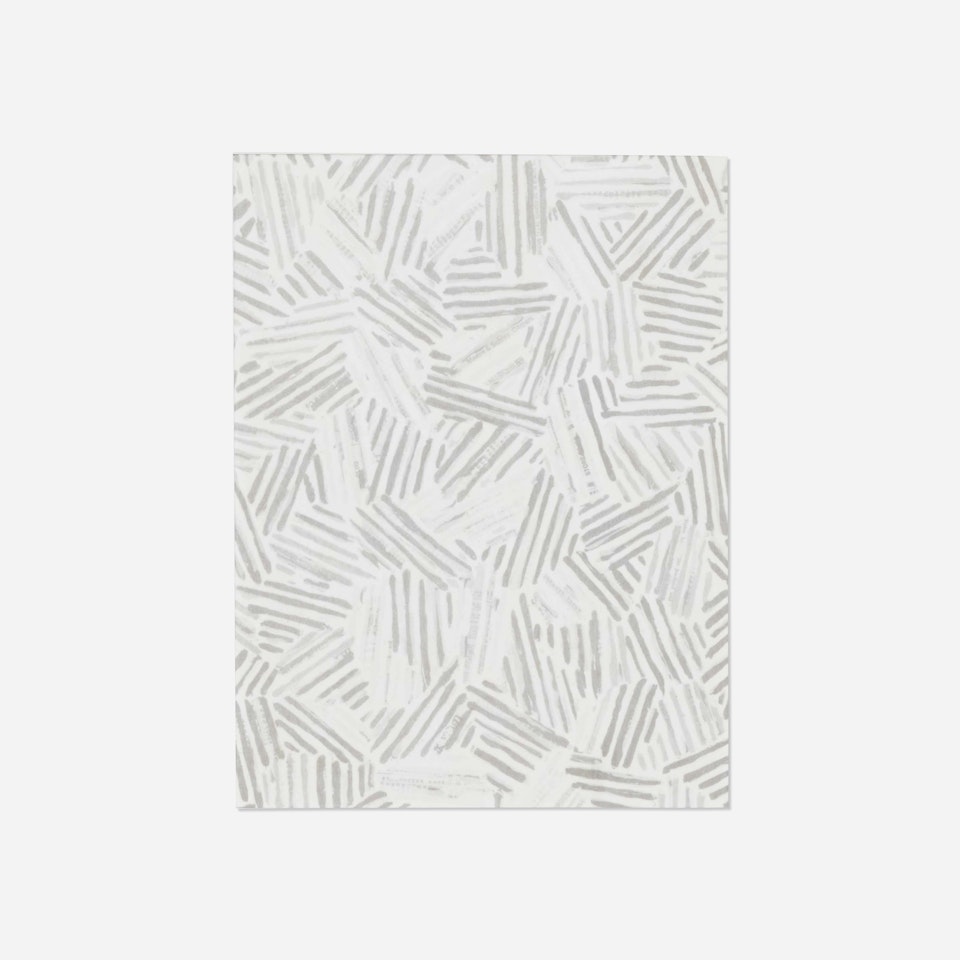 Silver Cicada by Jasper Johns
