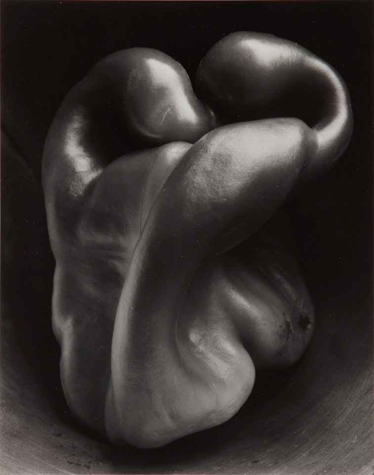Pepper (No. 30) by Edward Weston