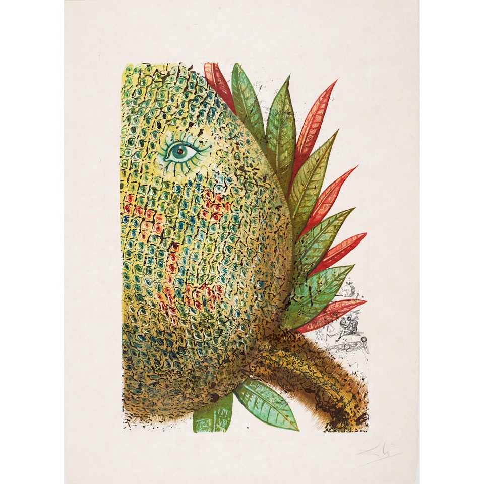 Végetation inédit: Ananas (Pineapple) by Salvador Dali