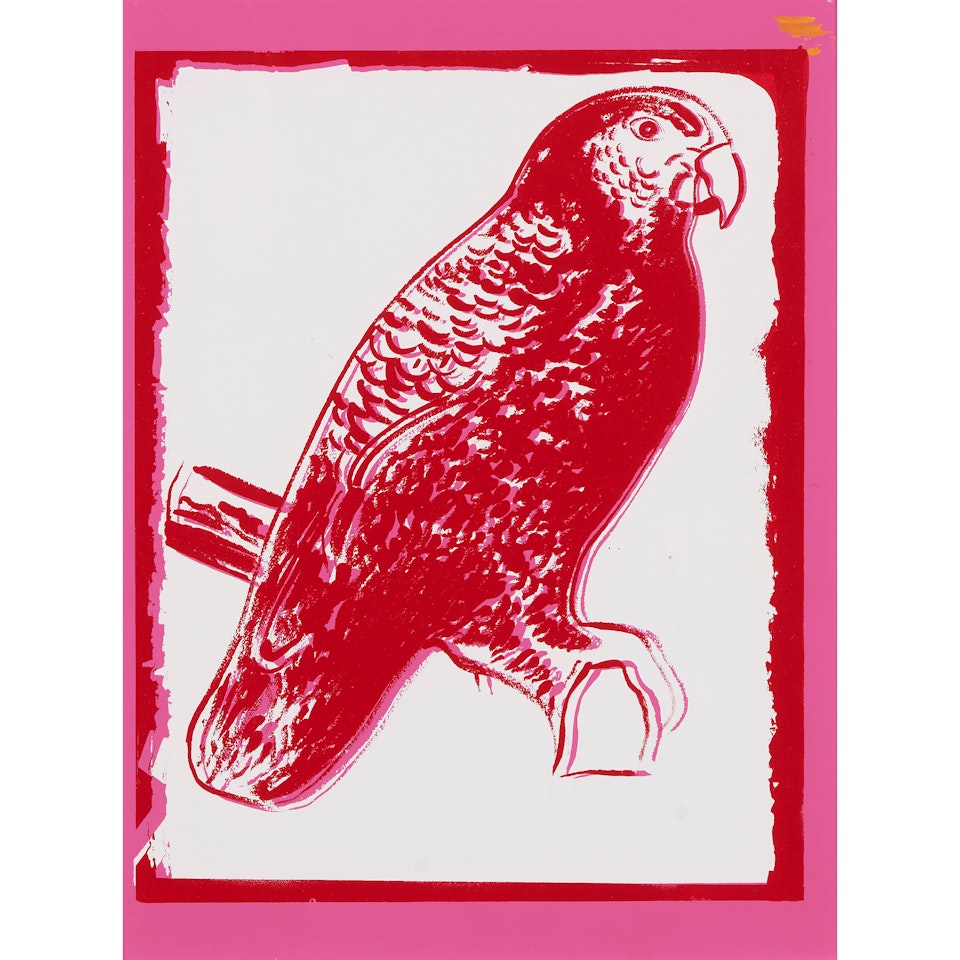 Puerto Rican Parrot by Andy Warhol