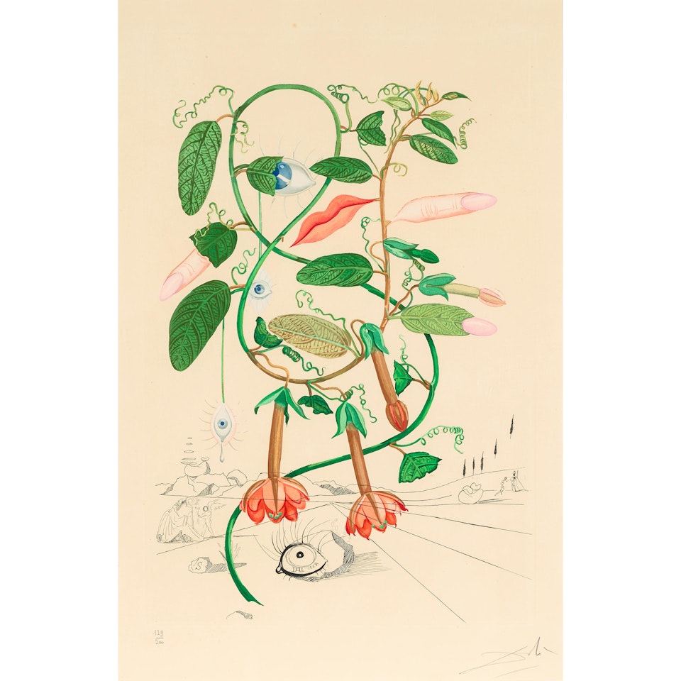 Pisum Sensuale, from Floridali by Salvador Dali