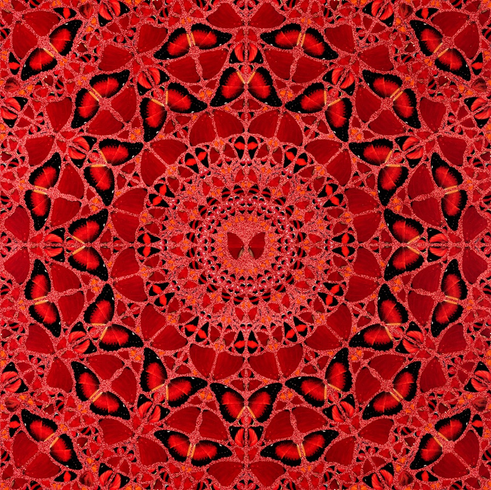 Suiko by Damien Hirst