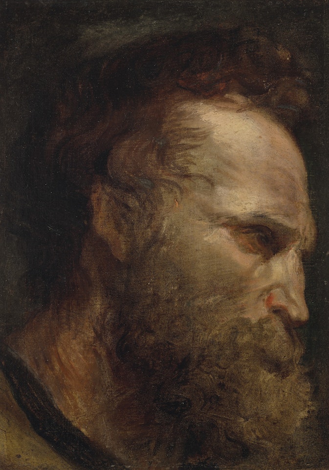 Head study of a bearded man by Anthony van Dyck