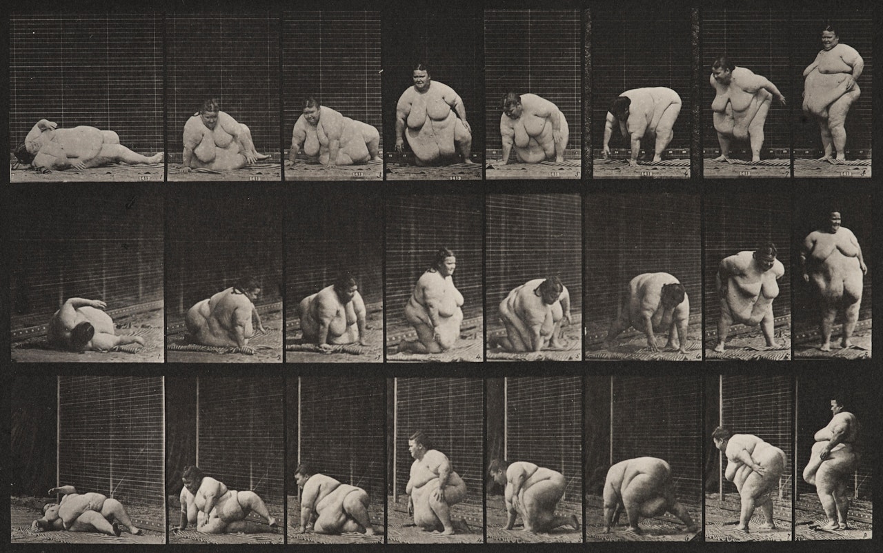 Plate 268 from "Animal Locomotion" by Eadweard Muybridge