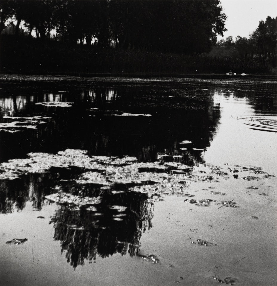 Pond by André Kertész