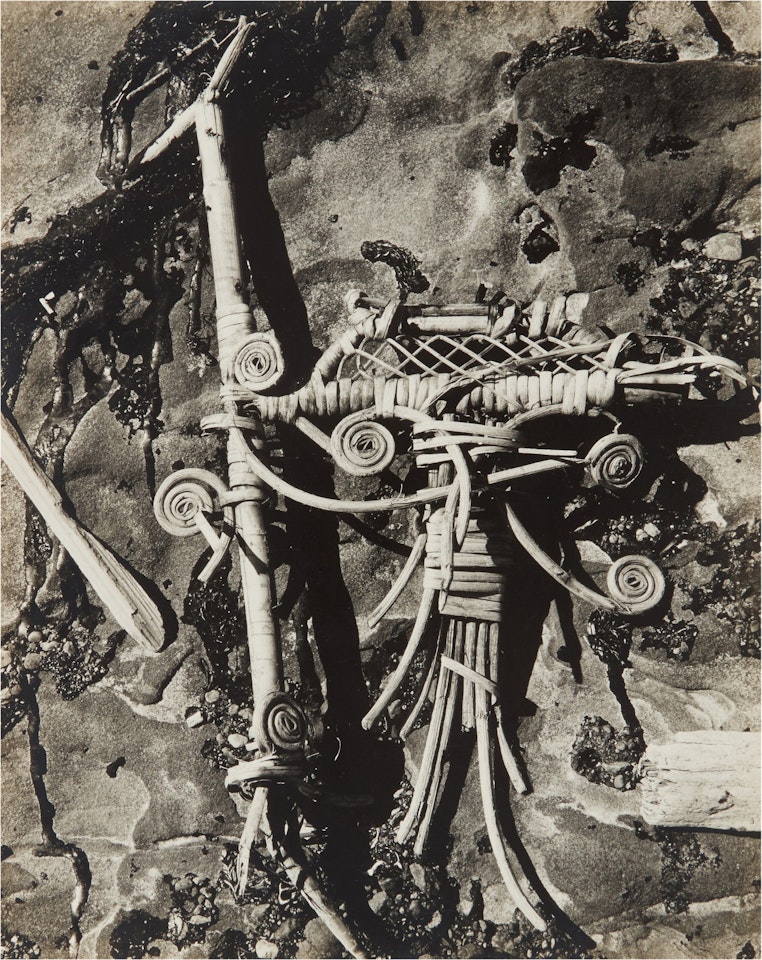 Rocks and Wicker, Point Lobos by Edward Weston