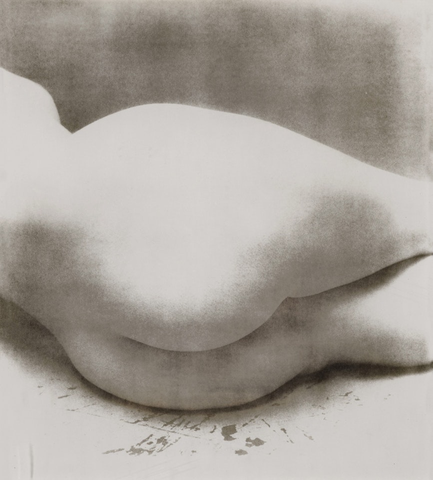 Nude 55 by Irving Penn