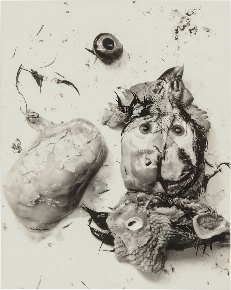 Negative #66 by Frederick Sommer