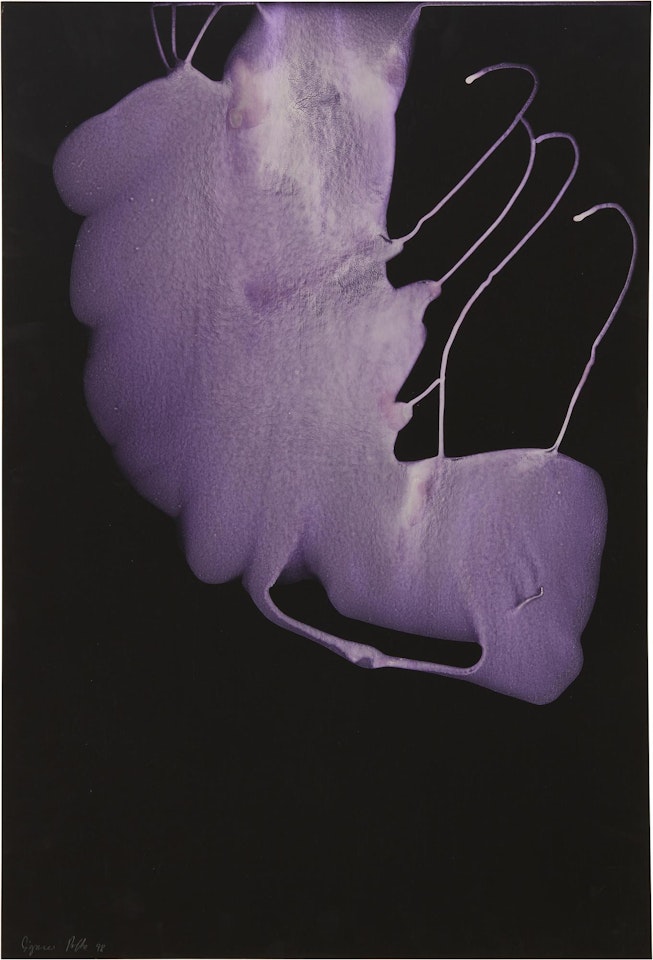 Untitled POZ 194 by Sigmar Polke