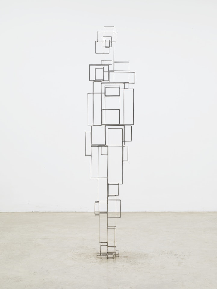 CONSTRUCT VI by Antony Gormley