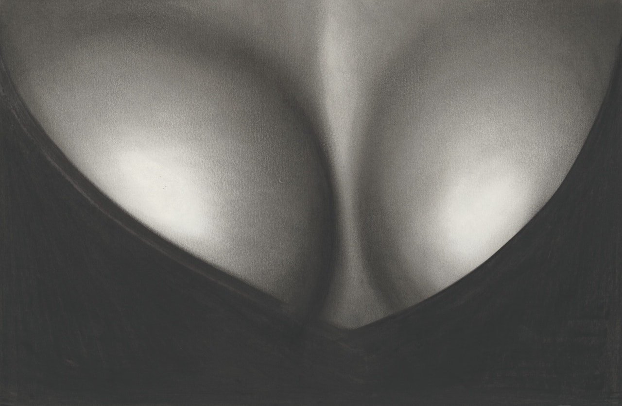 Study of Antonia by Robert Longo