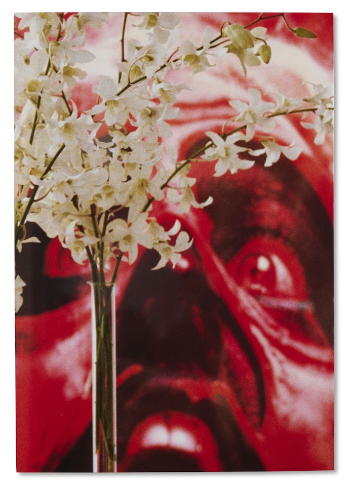 Red Face White Flowers by Louise Lawler