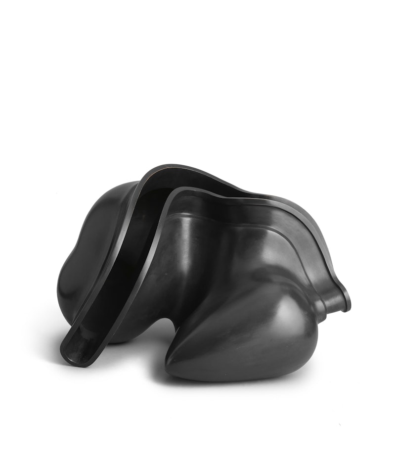 Early Forms by Tony Cragg