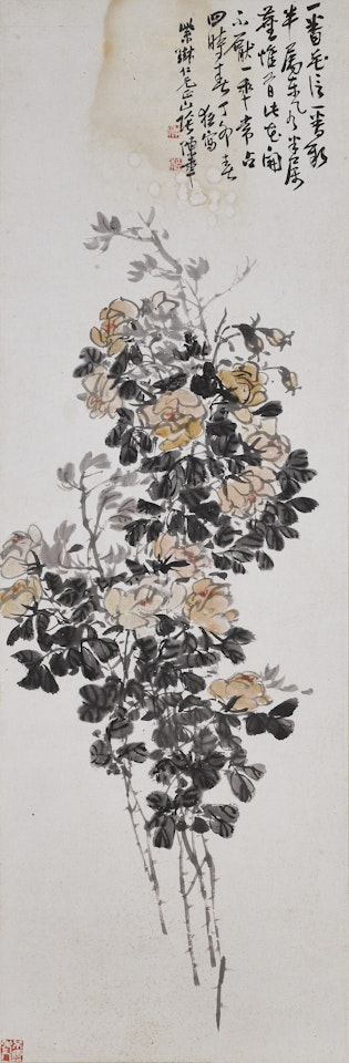 China Rose by Chen Banding