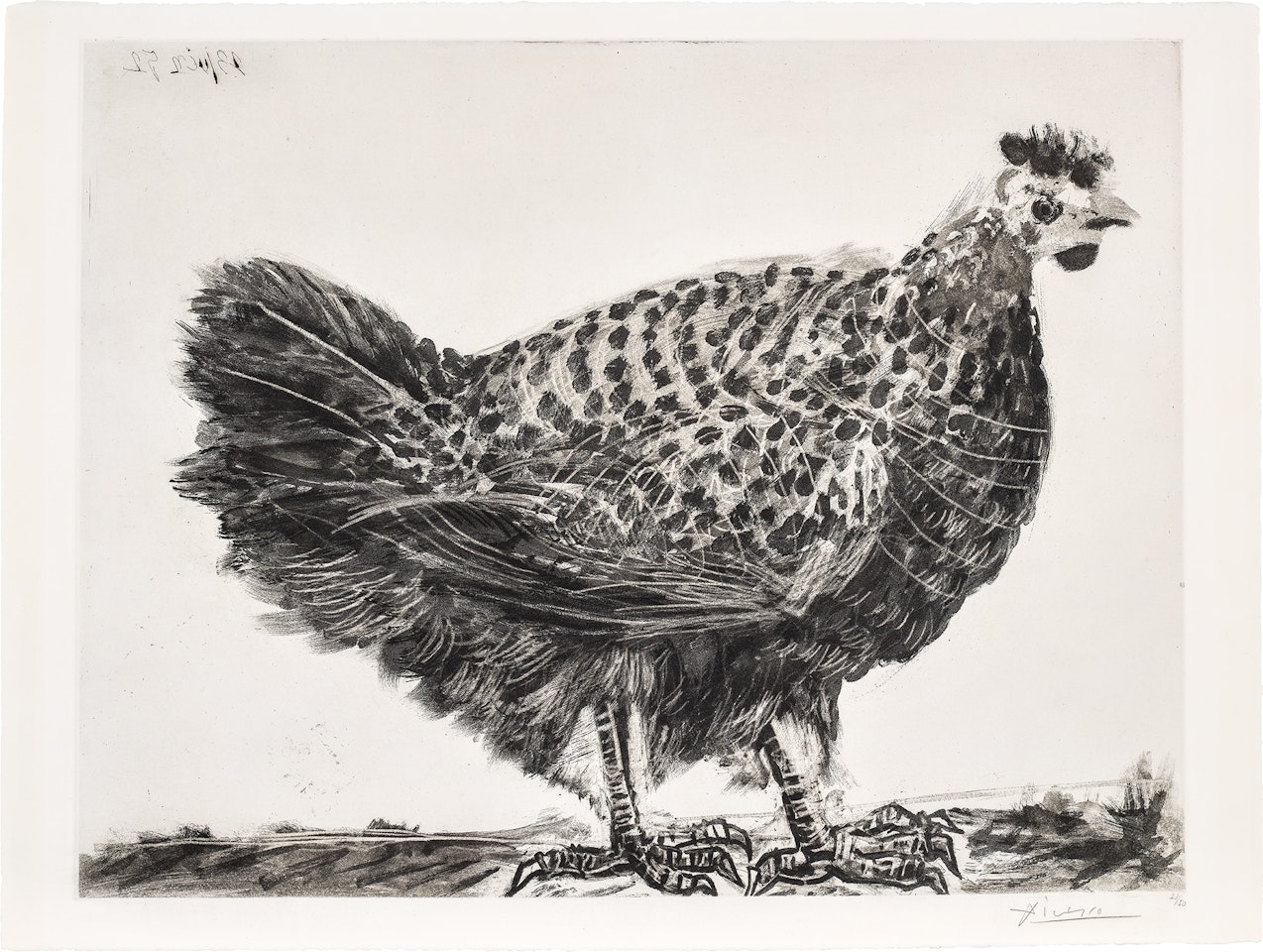 La poule (The Hen) (Bl. 694, Ba. 896) by Pablo Picasso