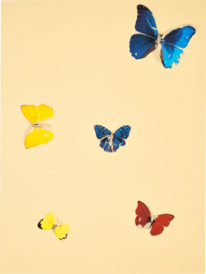All You Need is Love by Damien Hirst