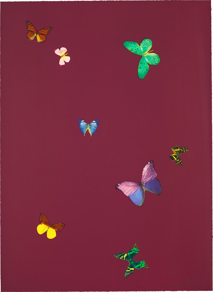 Your Smell, from The Wonder of You by Damien Hirst