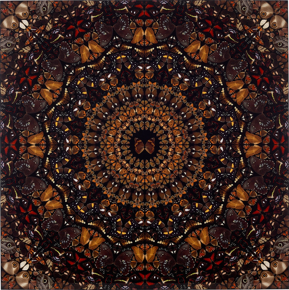 Earth, from The Elements (H6-6) by Damien Hirst
