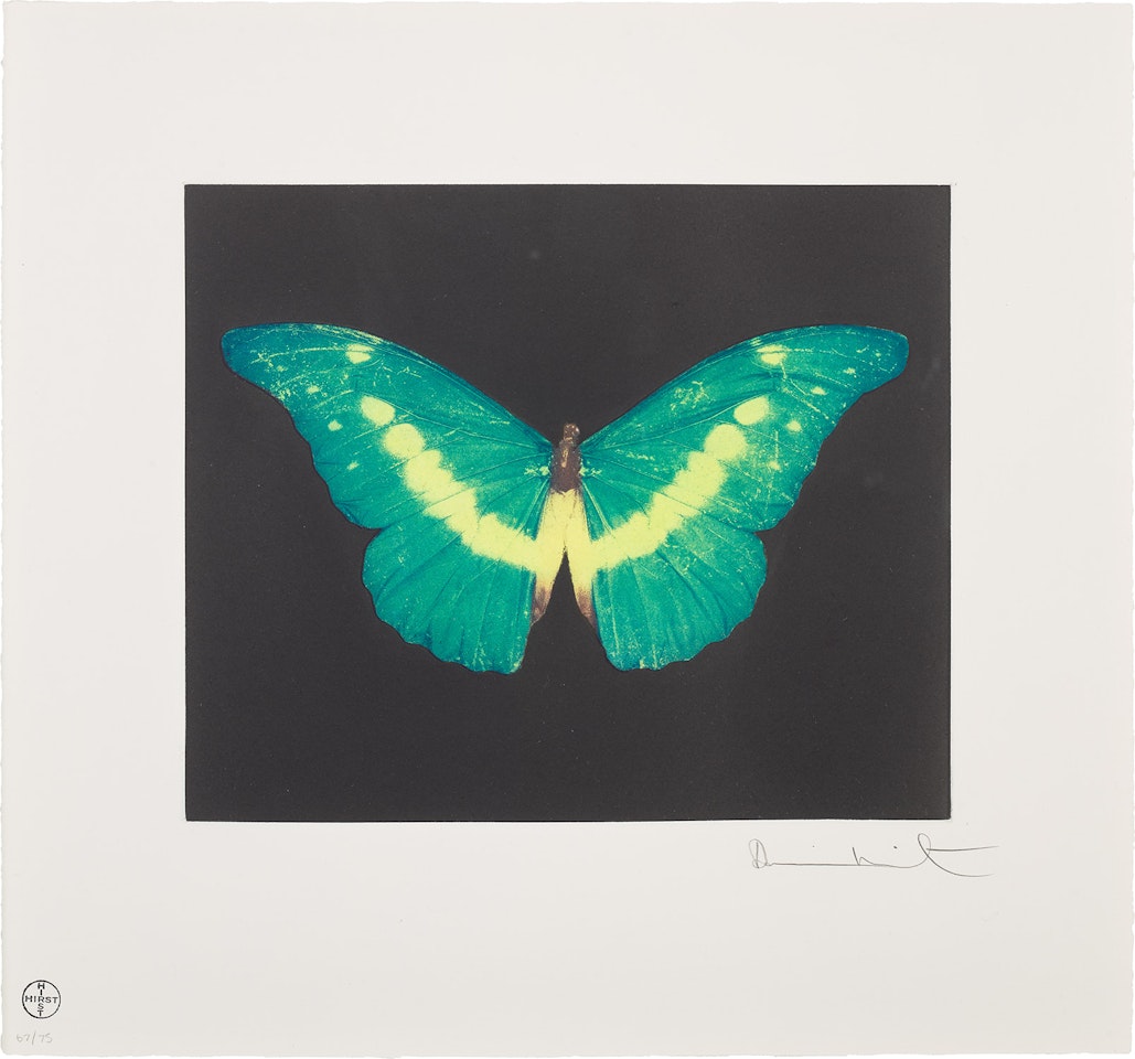 To Believe by Damien Hirst
