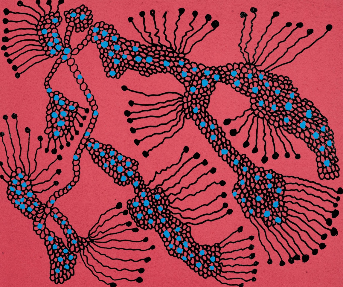 Butterflies' Nest by Yayoi Kusama