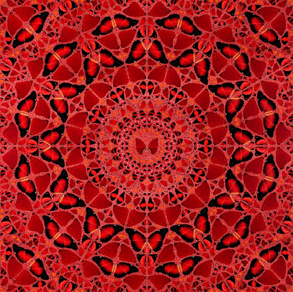 Suiko by Damien Hirst
