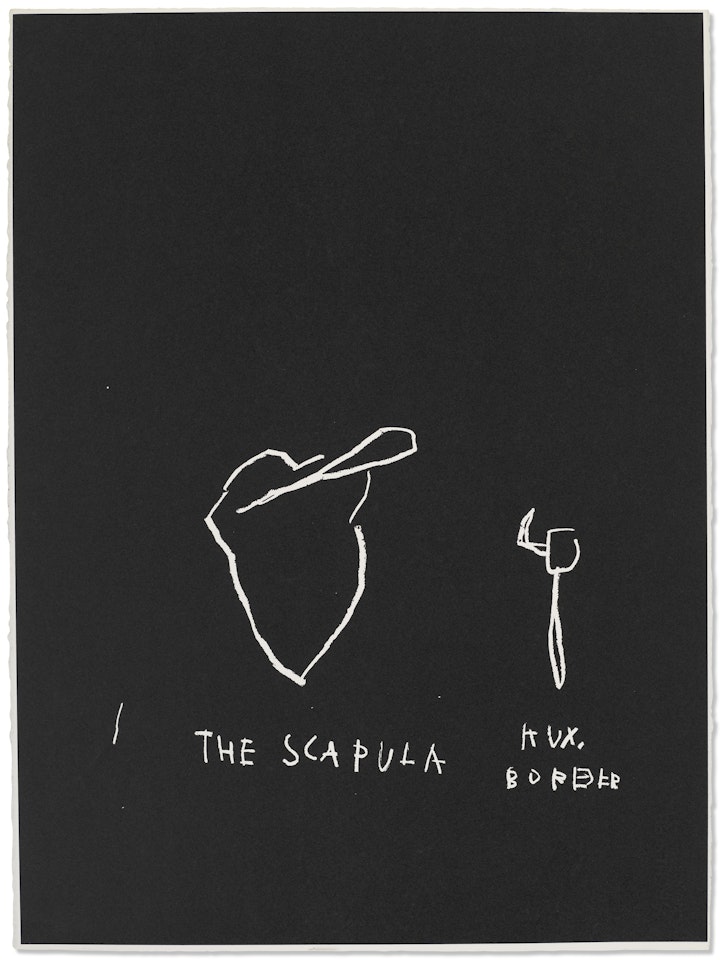 The Scapula, from Anatomy by Jean-Michel Basquiat